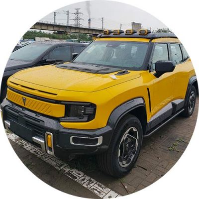 2025 DEEPAL G318 4WD mountain